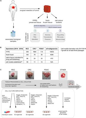 Cancer Sample Biobanking at the Next Level: Combining Tissue With Living Cell Repositories to Promote Precision Medicine